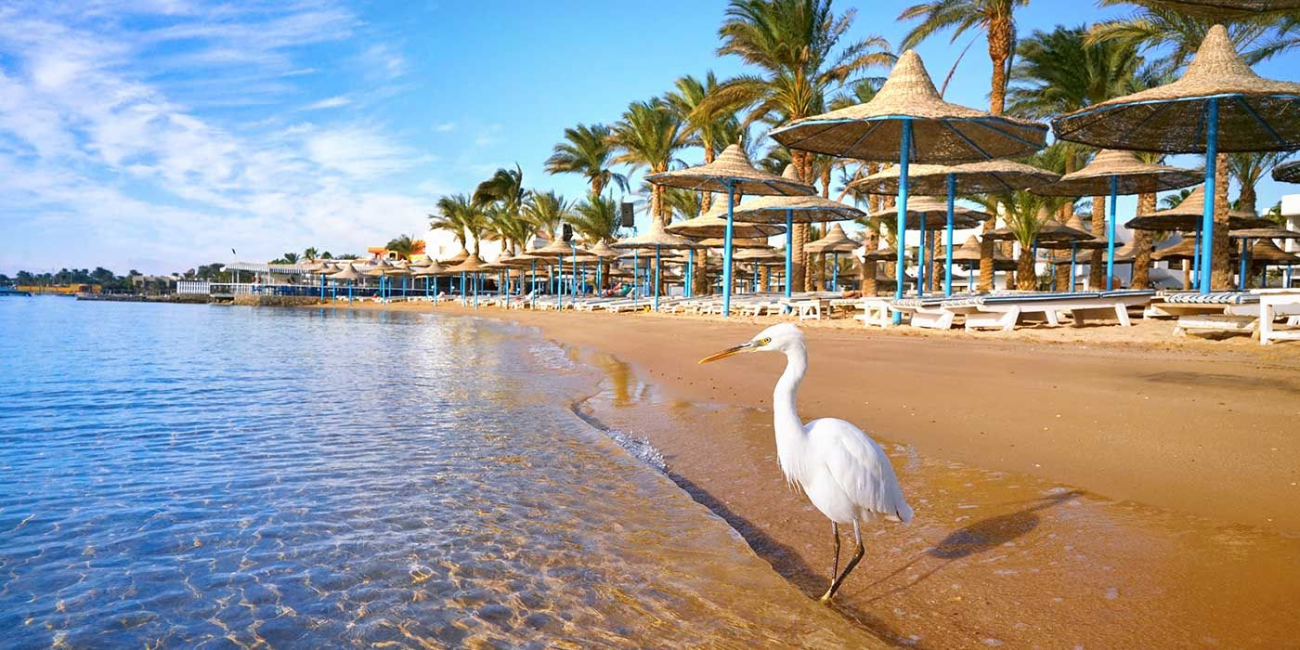 Vue d'une plage paradisiaque à Hurghada avec mer turquoise, palmiers et vacanciers marocains au départ de Casablanca