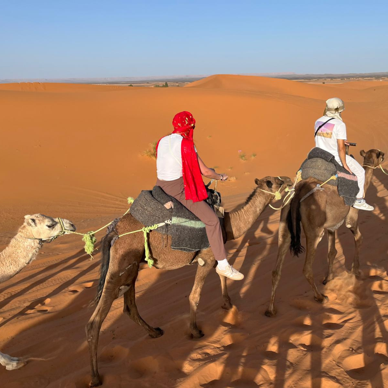 🏜️ Circuit de 4 jours de Marrakech à Fès via le désert de Merzouga 2