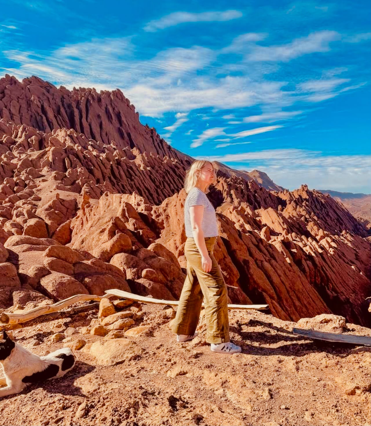 Dades Gorge: Monkey Fingers Guided Hike