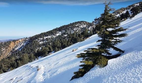 ينظم نادي أدرينالين  جولة استكشافية إلى قمة جبل تدغين أعلى قمة بجبال الريف 6