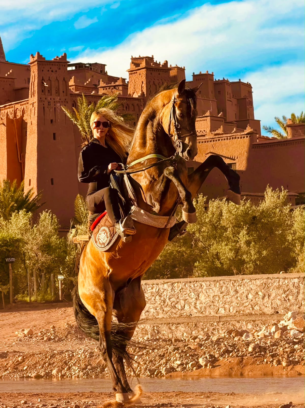 Ait Benhaddou: Horseback Ride with Movie Horses