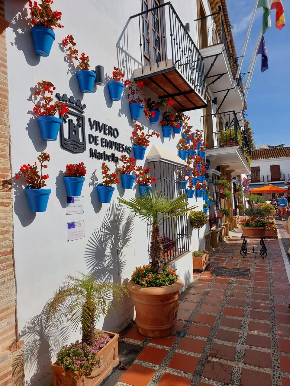 Cap-Vert  Du 30/06 au 05/07/2026 (6j)  8