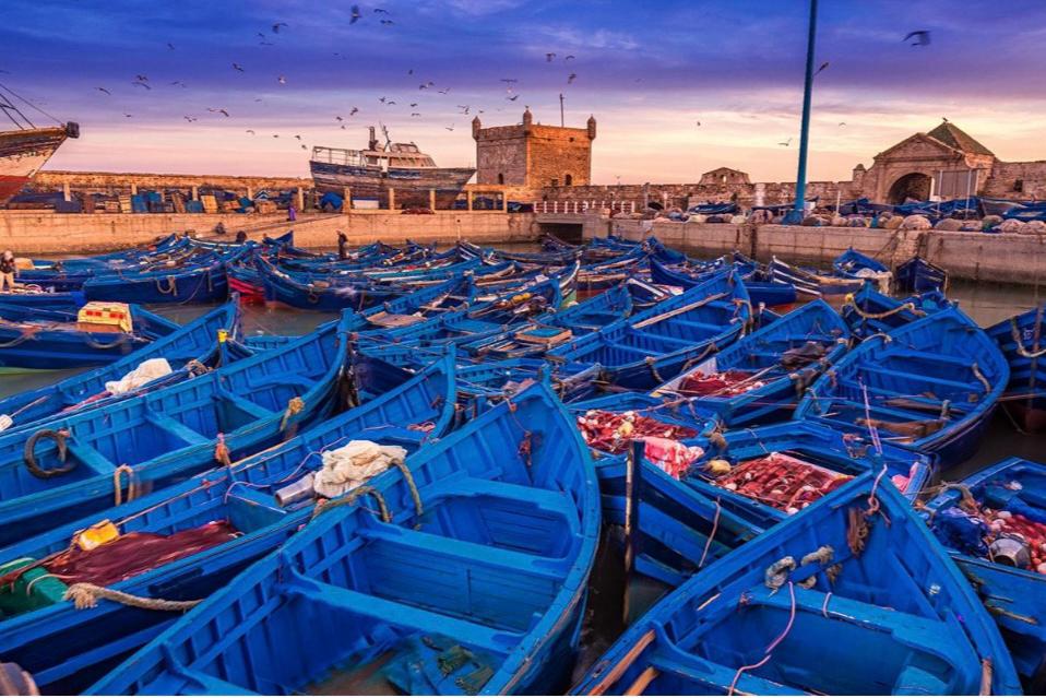 🌊 Depuis Marrakech : excursion d’une journée à Essaouira, l’ancienne cité de Mogador et sa côte atlantique