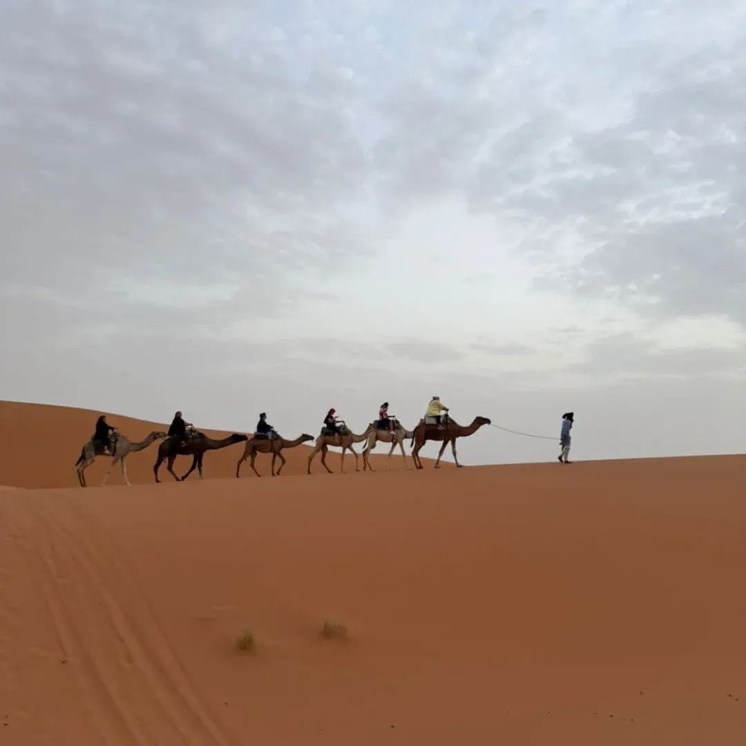 🏜️ رحلة إلى صحراء مرزوكة 🌟 مع وكالة Adventure Travels 🌟 3