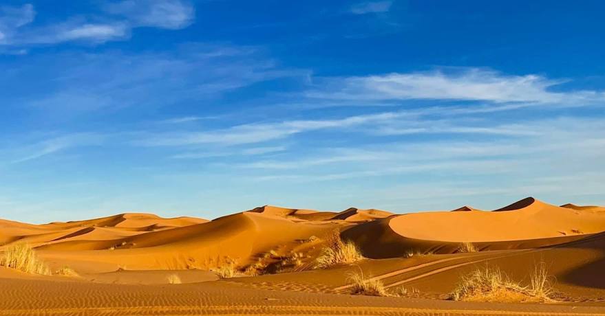 la perle du sud MERZOUGA  5