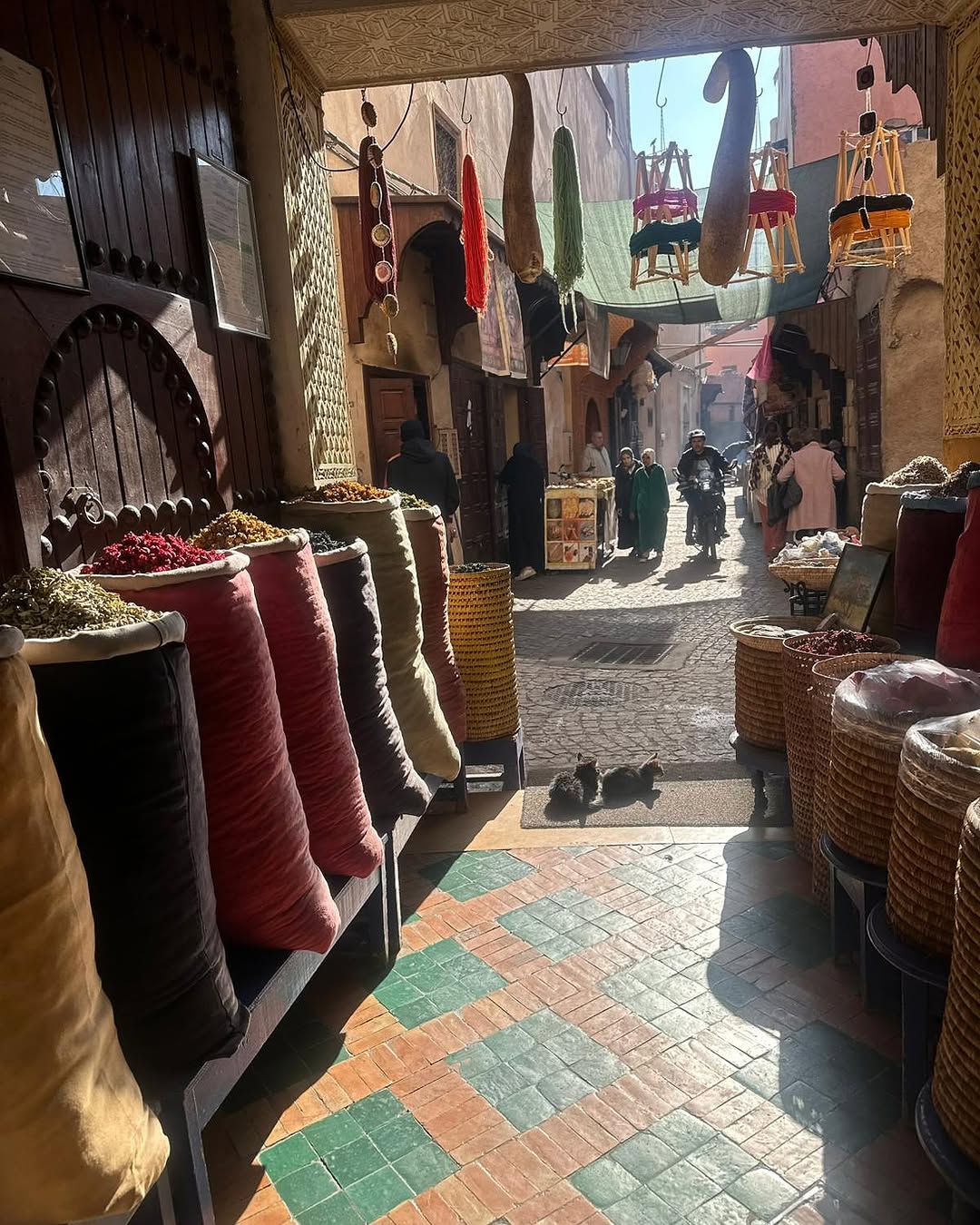 Aventure Blanche ❄️☃️ :Oukaïmeden - Ourika - Imlil - Marrakech 5